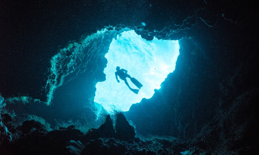 Freediver on reef in Eluthera, Bahamas. Exploration sous marine