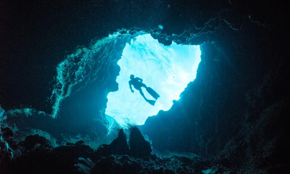 Freediver on reef in Eluthera, Bahamas. Exploration sous marine
